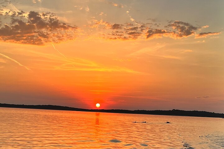 Dolphin Watching & Sunset Boat Tour With Drinks & optional Dinner
