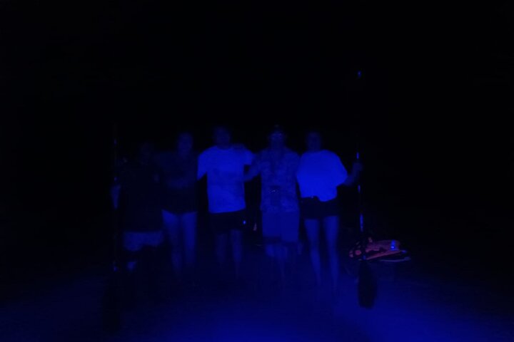 Bioluminescence Tour in Kayak in Holbox Island