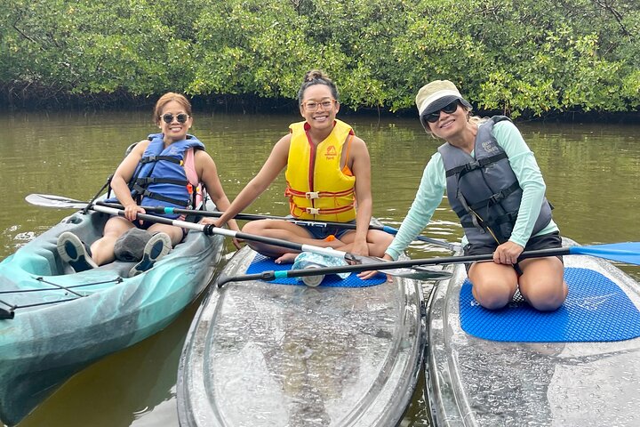 Guided Island EcoTour: CLEAR/Standard Kayak, SUP - Bonita Springs