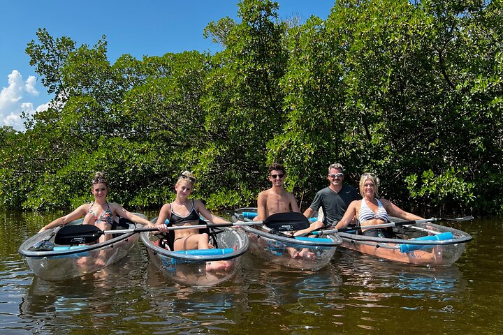 Guided Island EcoTour: CLEAR/Standard Kayak, SUP - Bonita Springs