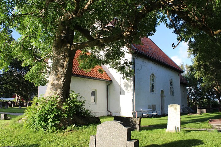 Ålesund Shore Excursion and 6 beautiful highlight stops minibus