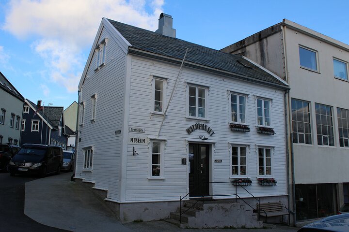 Ålesund Shore Excursion and 6 beautiful highlight stops minibus
