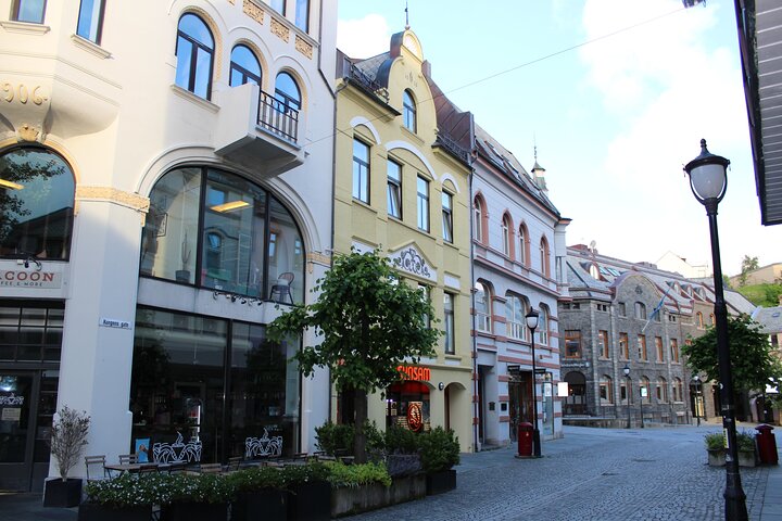 Ålesund Shore Excursion and 6 beautiful highlight stops minibus