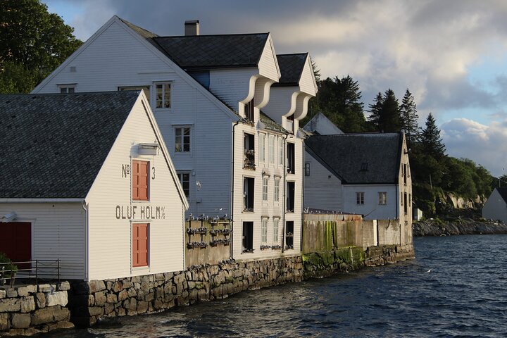 Ålesund Shore Excursion and 6 beautiful highlight stops minibus