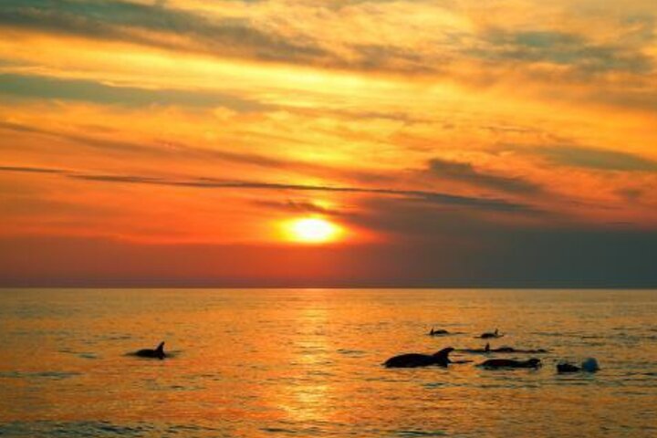 3Hour ALL-INCLUSIVE Sunset Dolphin Watching from Medulin onSandra