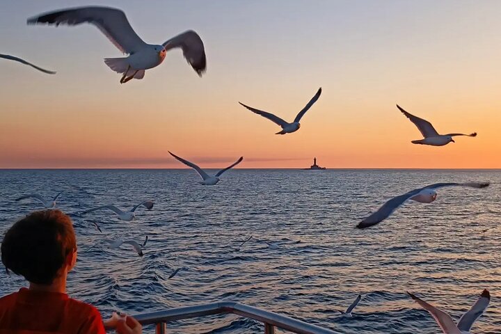 3Hour ALL-INCLUSIVE Sunset Dolphin Watching from Medulin onSandra