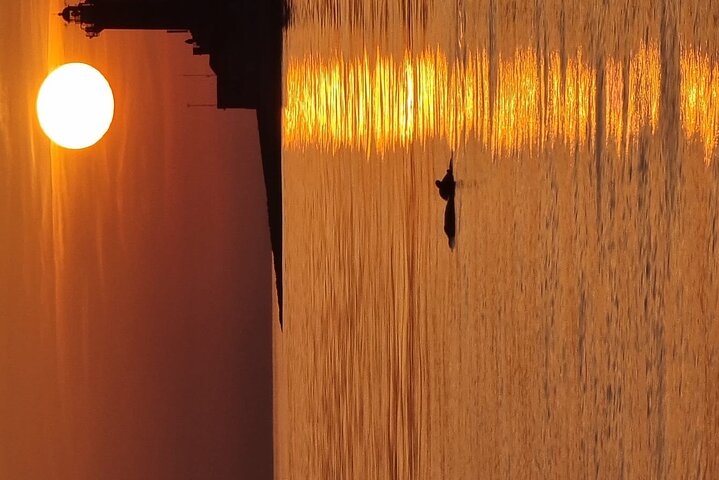 3Hour ALL-INCLUSIVE Sunset Dolphin Watching from Medulin onSandra