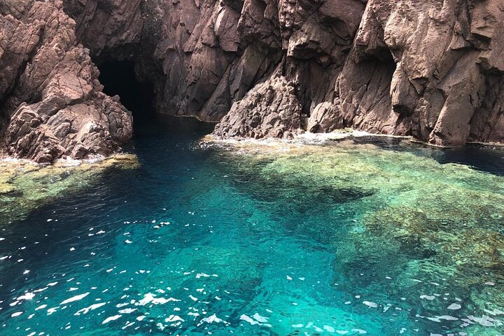 De Sagone/Cargèse: Scandola Girolata 2h Calanques Piana Swimming