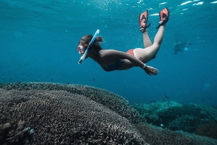 Nusa Penida day trip: boat, 4 snorkeling, Manta rays & Land tour
