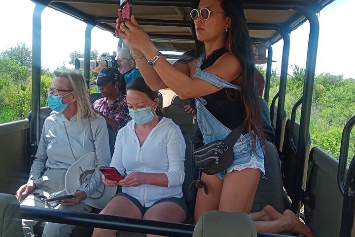 Full Day Ultimate Pilanesberg National Park Safari from Johannesburg or Pretoria