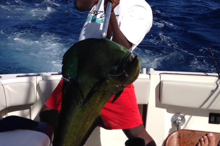 Private Fishing & Snorkel Charters in St Kitts and Nevis