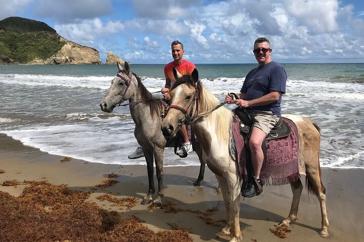 East Coast Horseback Riding & Waterfall Excursion