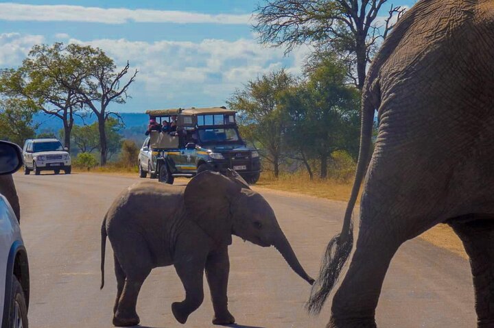 Kruger National Park Morning Safari 2 people minimum