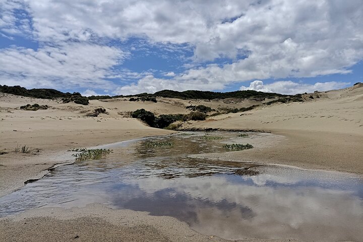 Private Activity Hiking, Time Wharf - Tricolor.