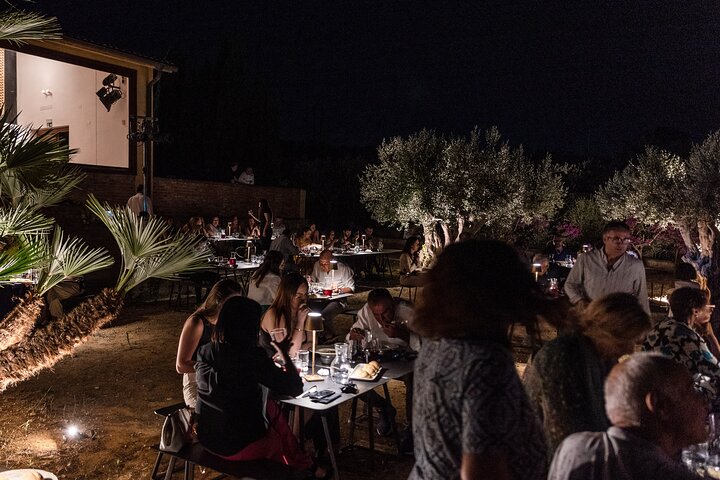 Agrigento : dinner and immersive show in the Valley of the Temples