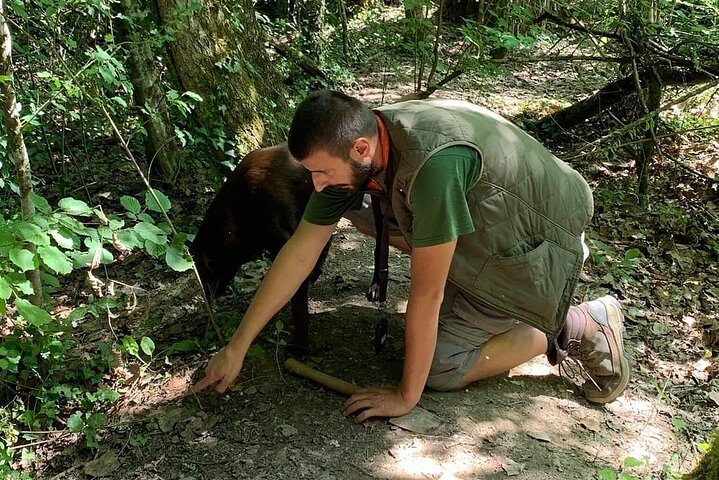 Truffle hunting adventure