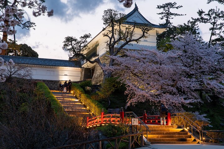Odawara Castle and Town Guided Discovery Tour