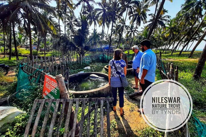 Through the Royal Footsteps with Tyndis - Nileshwar Royal Walk