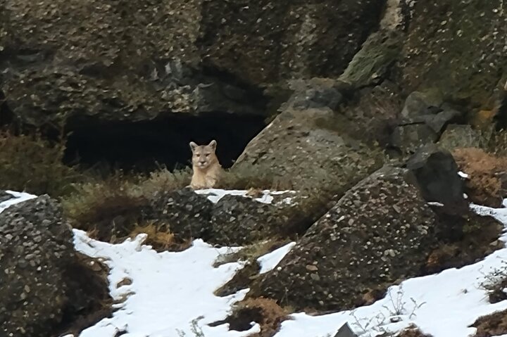 Full day Torres del Paine from Punta Arenas ,Regular tours