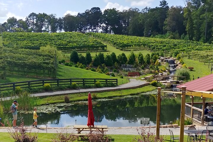 Half-Day Wine Tastings in the North GA Mountains from Atlanta