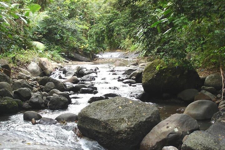 East Coast Horseback Riding & Waterfall Excursion