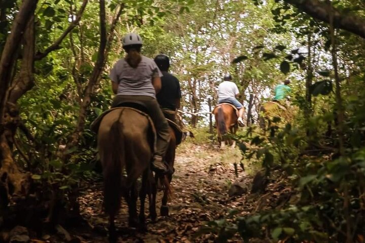 East Coast Horseback Riding & Waterfall Excursion