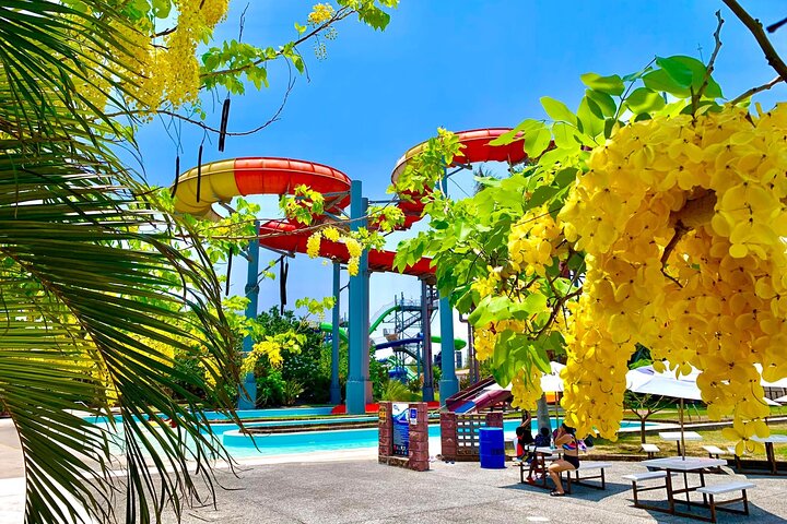 Aquatico Inbursa Waterpark: Veracruz - Ticket