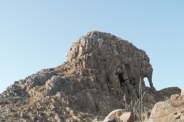N'DJAMENA The Elephant-Dandi rock and Doughia tourist resort