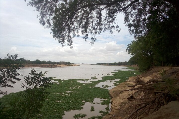 N'DJAMENA The Elephant-Dandi rock and Doughia tourist resort