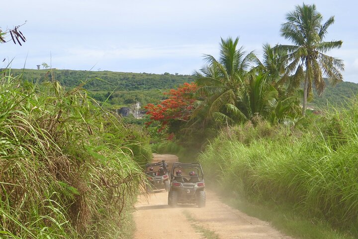 Off-Road Buggy Adventure