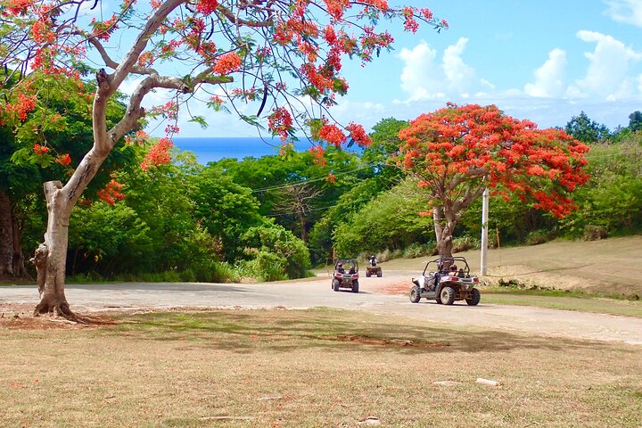 Off-Road Buggy Adventure