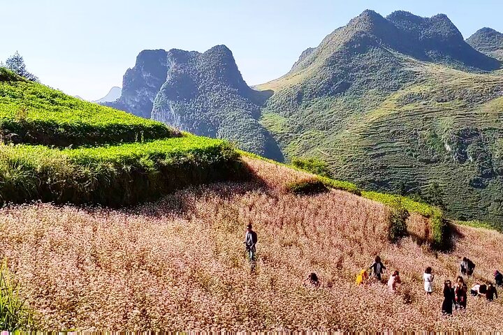 Ha Giang Loop Ultimate 3 Day Tour with Local Easy Ride