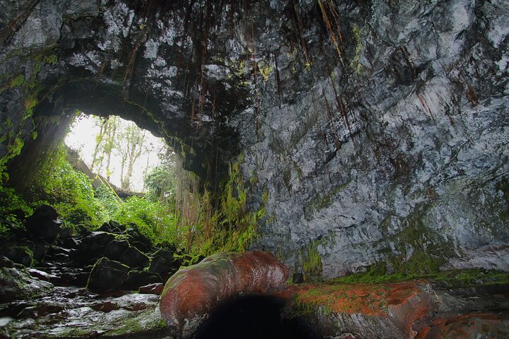 Hilo Shore Excursion: Volcano Safari Lava Caves & Black Sand