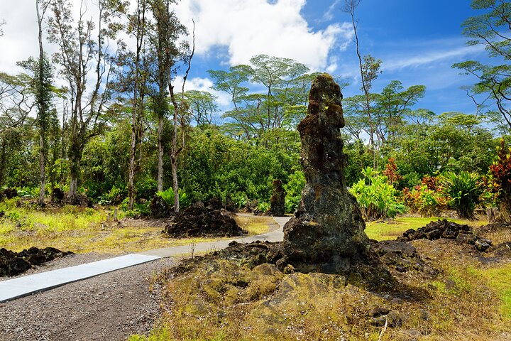 Hilo Shore Excursion: Volcano Safari Lava Caves & Black Sand