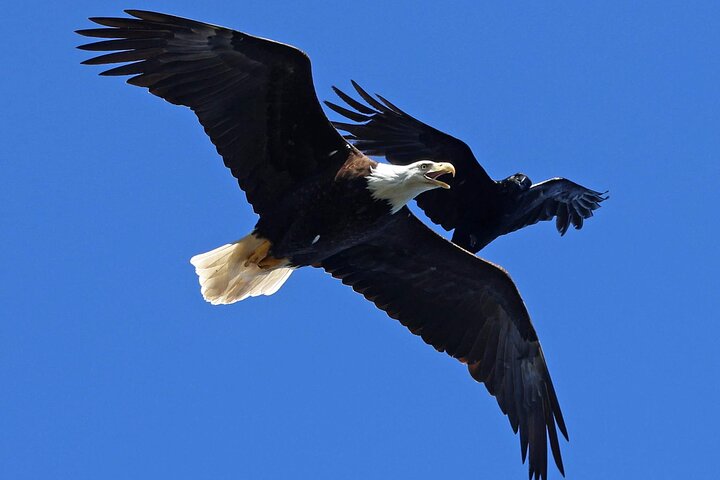 3hr Private Custom Excursion in Ketchikan for up to 14 people