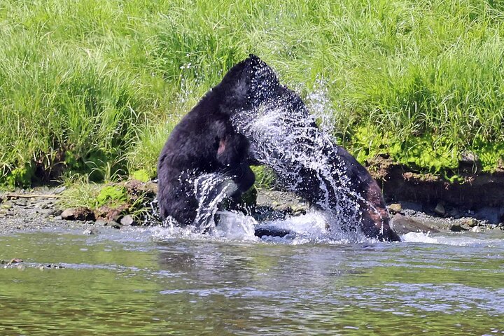 3hr Private Custom Excursion in Ketchikan for up to 14 people