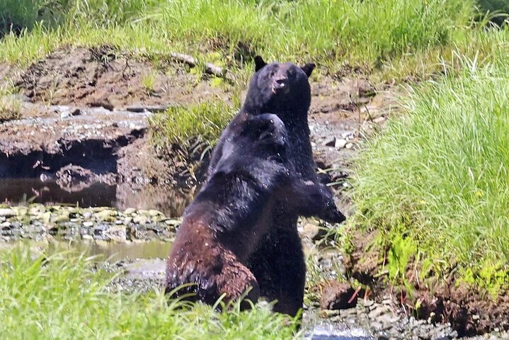 3hr Private Custom Excursion in Ketchikan for up to 14 people