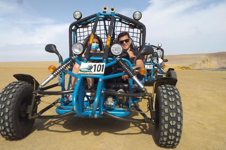Mini Buggy Paracas National Reserve