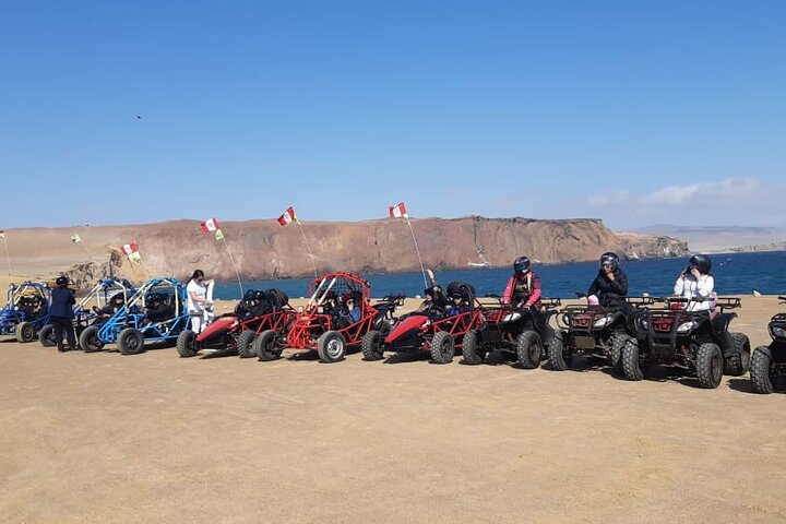 Mini Buggy Paracas National Reserve