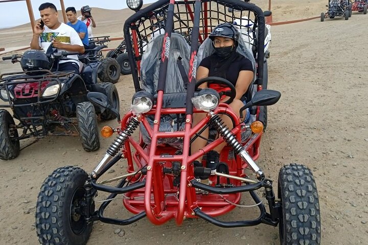 Mini Buggy Paracas National Reserve