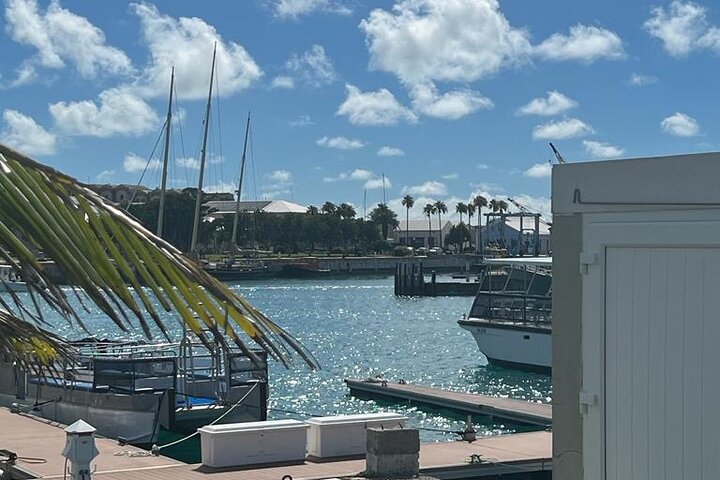 Bermuda Cruise Shore Excursion: Full Island Tour from Dockyard
