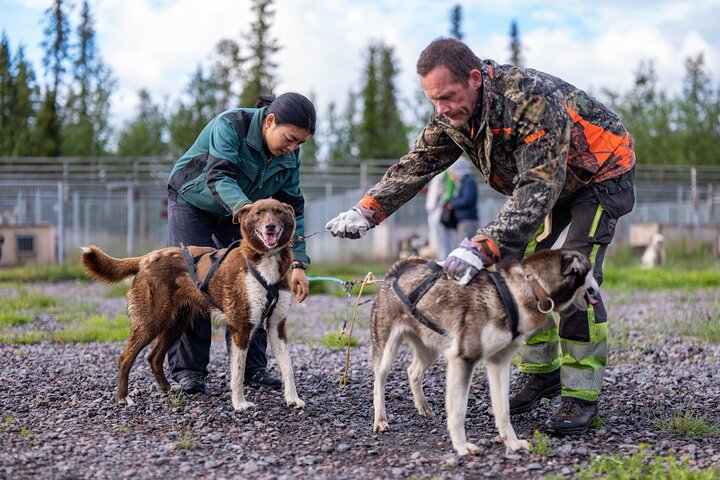 Meet 70 Huskies and Enjoy a short ATV Tour with the Huskies