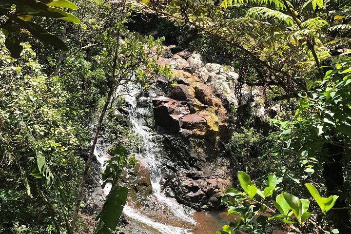 South-West of Mauritius Private Full-Day Scenic Tour with Lunch