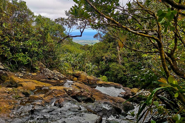 South-West of Mauritius Private Full-Day Scenic Tour with Lunch