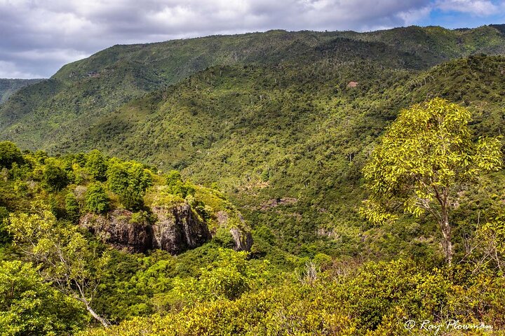 South-West of Mauritius Private Full-Day Scenic Tour with Lunch