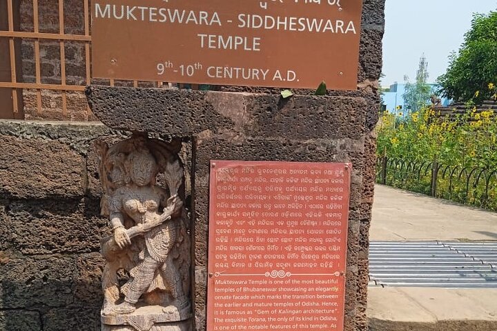 Immersive Bhubaneswar walking tour with professional guide