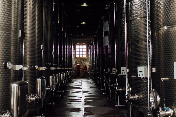 Day Trip to Kakheti Wine Region Including 9 Wine Tastings