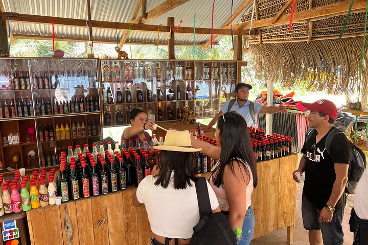 BLUE WILLOW LAGOON + Boat Trip + Panoramic Viewpoint – Tarapoto
