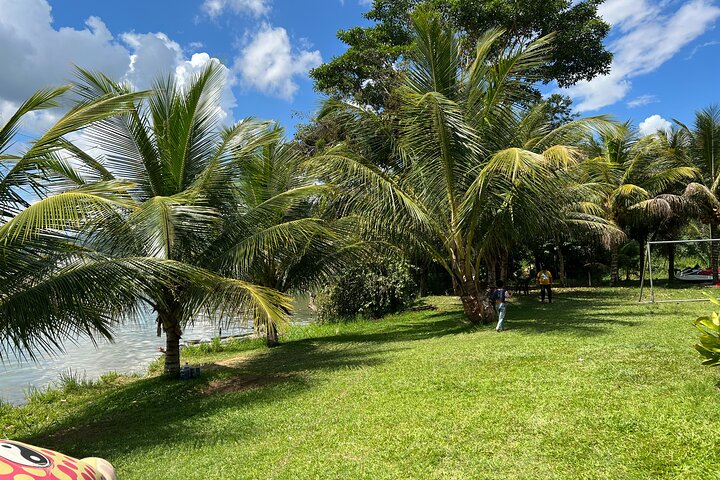 BLUE WILLOW LAGOON + Boat Trip + Panoramic Viewpoint – Tarapoto