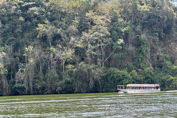 BLUE WILLOW LAGOON + Boat Trip + Panoramic Viewpoint – Tarapoto